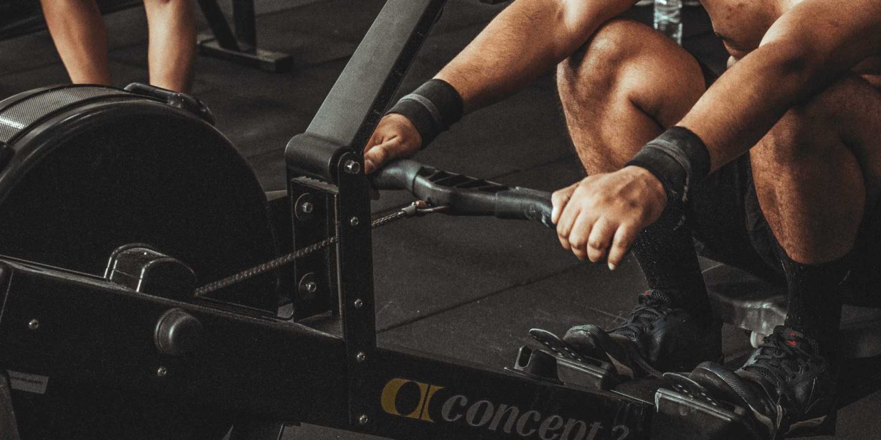 Boxing is now banned